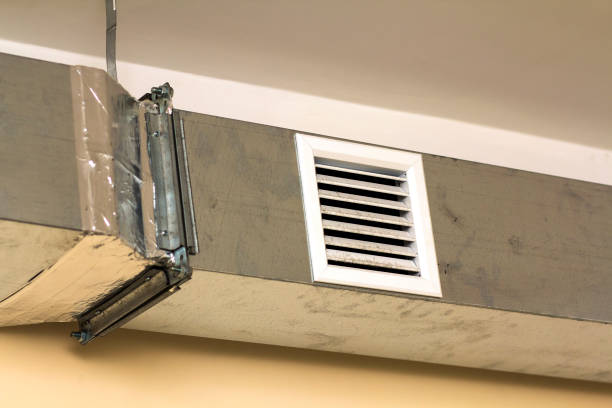 Best Air Duct Mold Removal  in Wernersville, PA